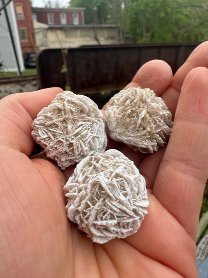 Desert Rose Selenite – Natural Gypsum Crystal Formation for Cleansing & Protection