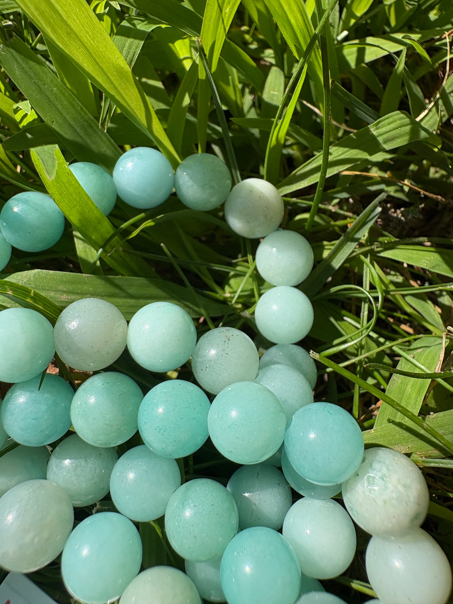 Amazonite 8mm Bracelet