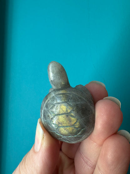 *Labradorite Turtle