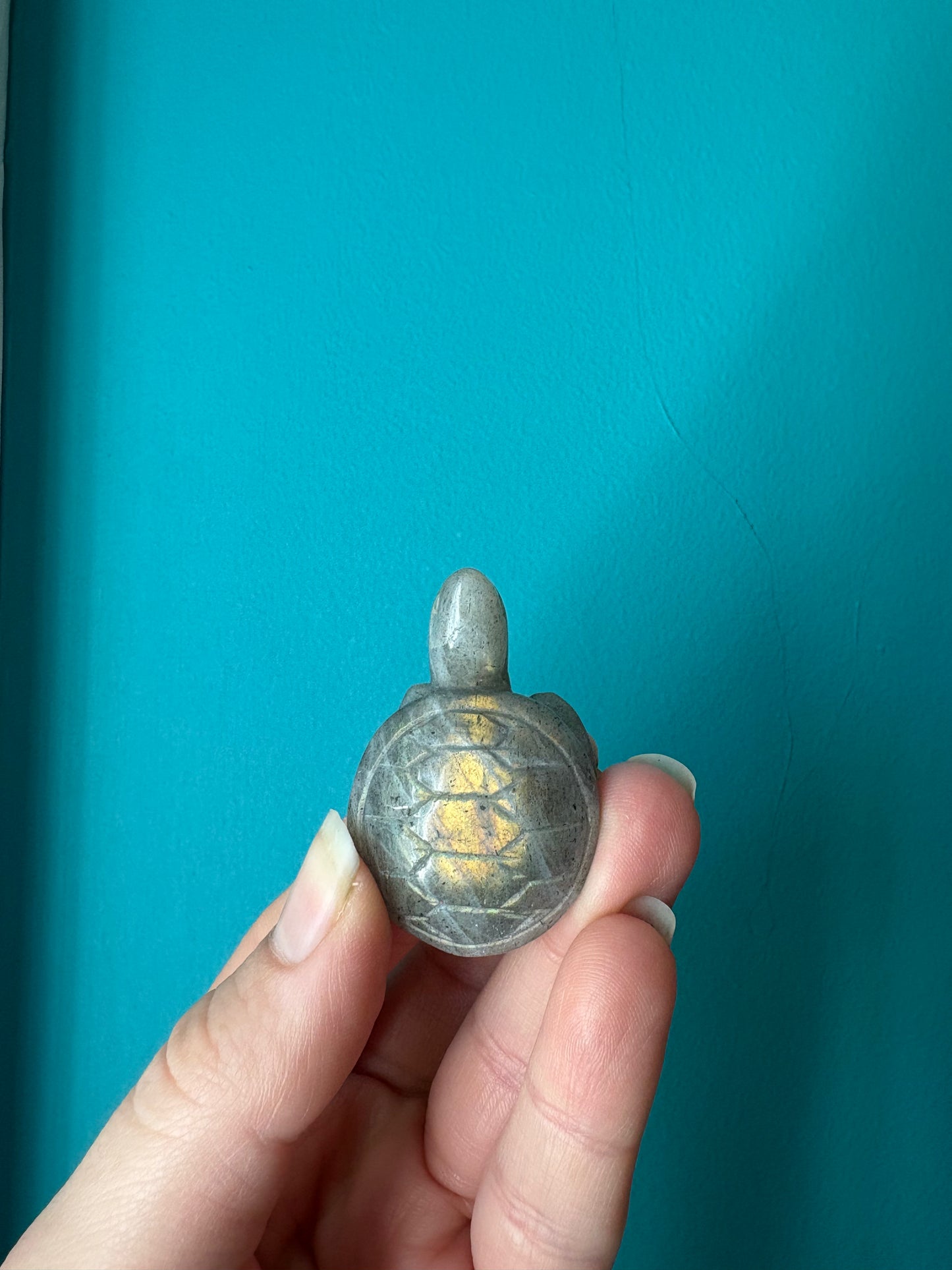 *Labradorite Turtle