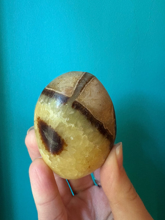 Polished septarian palm stone with yellow calcite and brown aragonite held against blue background