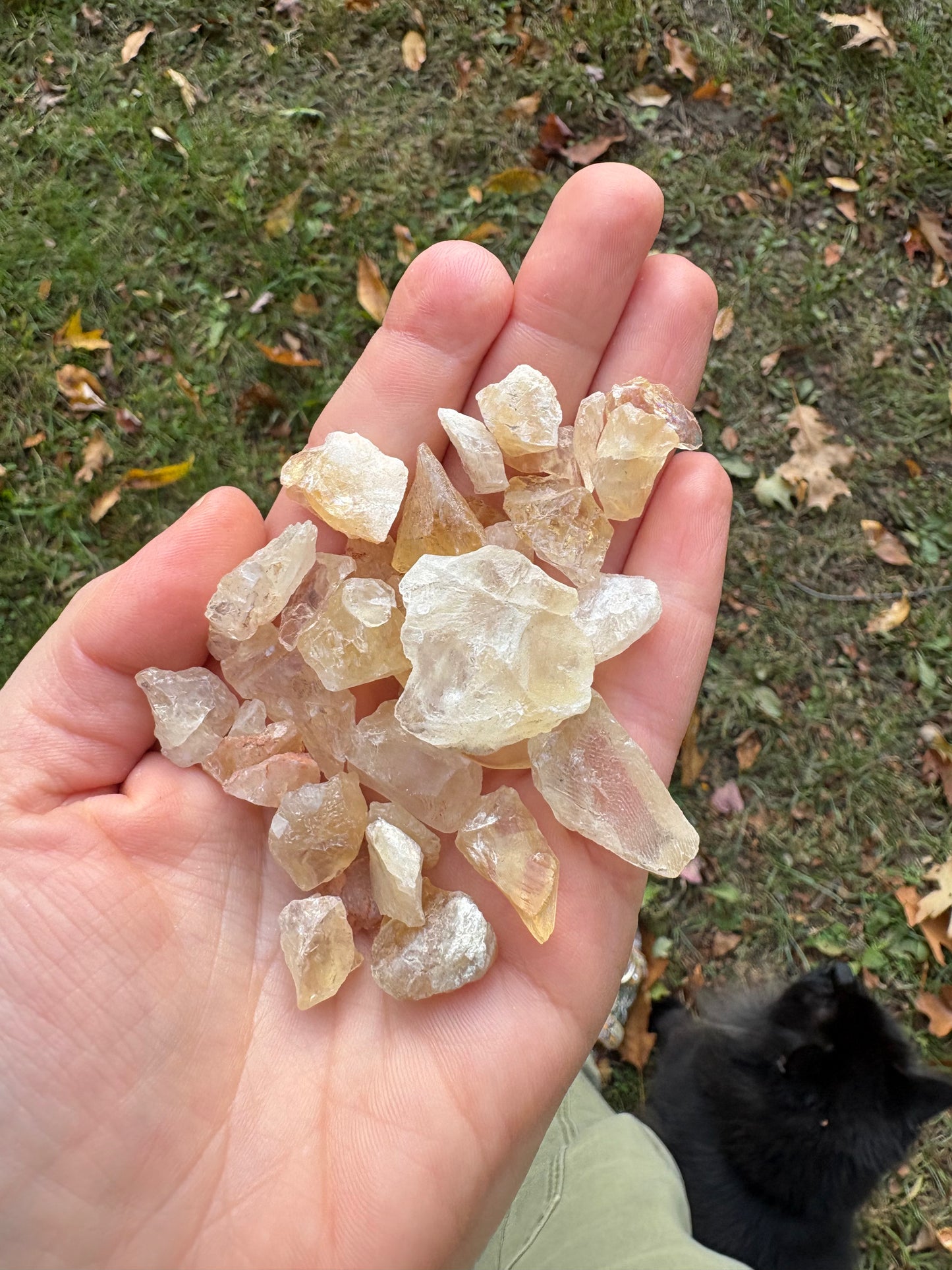 Raw Citrine Crystal – Abundance, Joy & Manifestation | Natural Stone