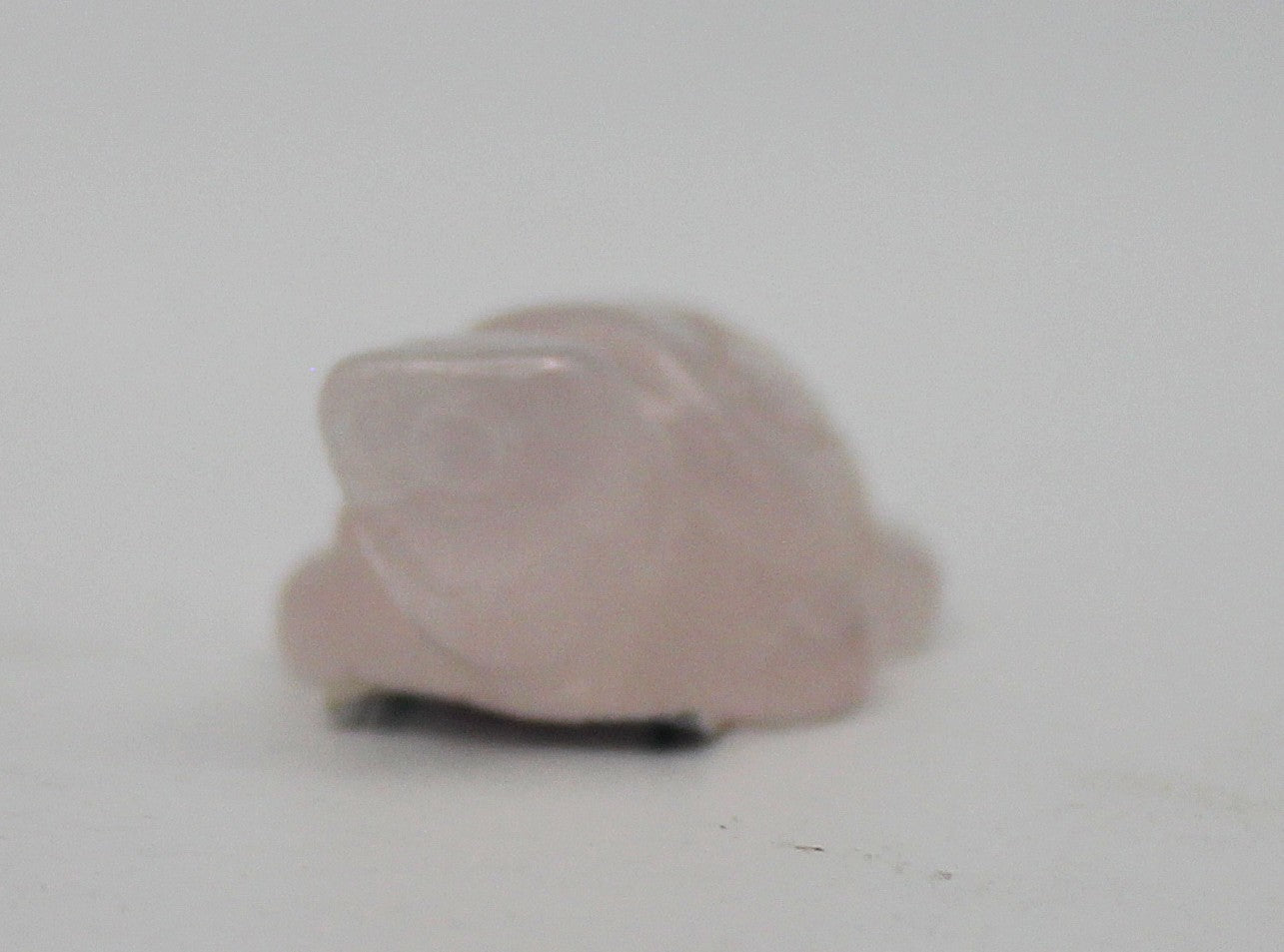 Mini Crystal Turtle