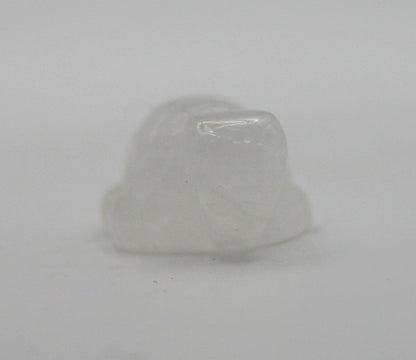 Mini Crystal Turtle