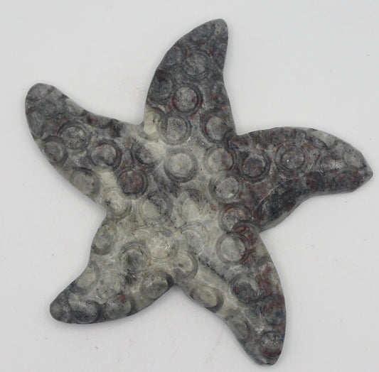 Jasper Starfish