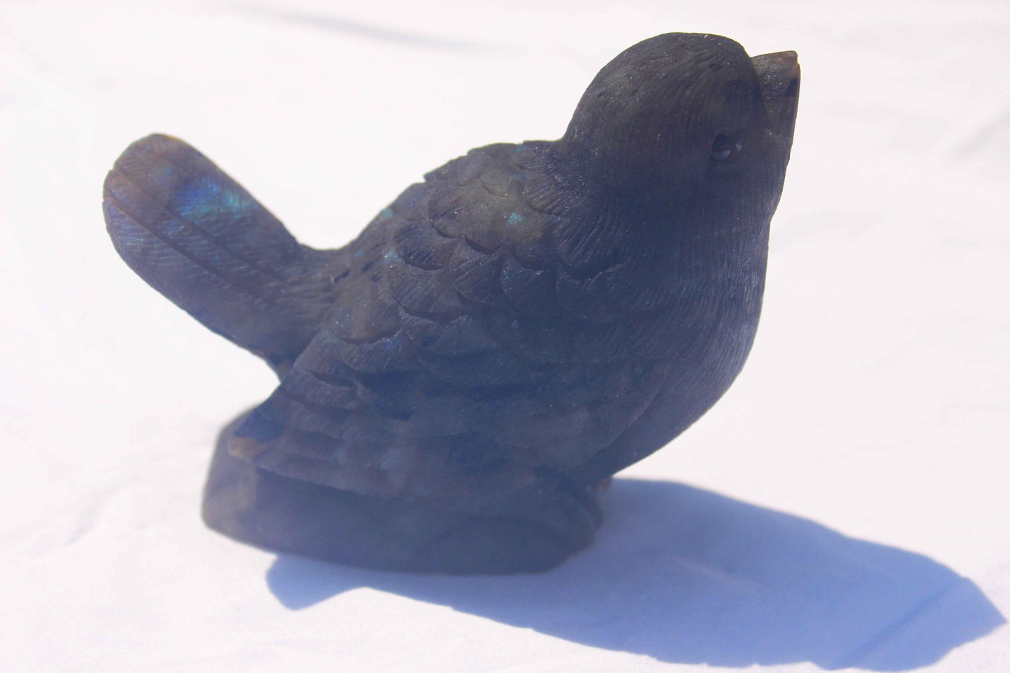 Labradorite Bird