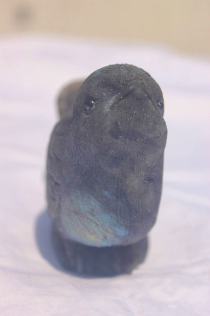 Labradorite Bird