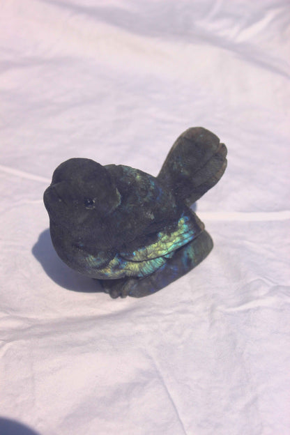Labradorite Bird