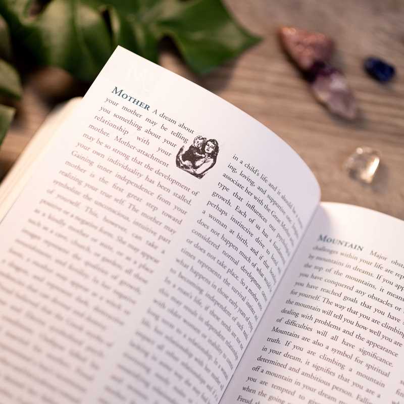 Dream Dictionary by Theresa Cheung