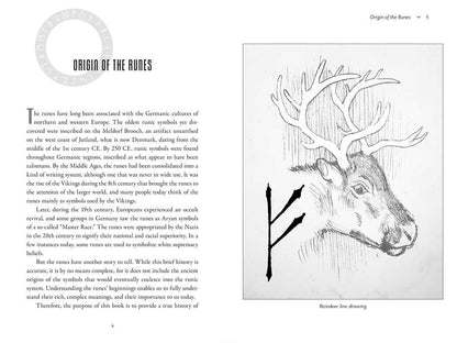 Goddess Casts the Runes by Anu Dudley