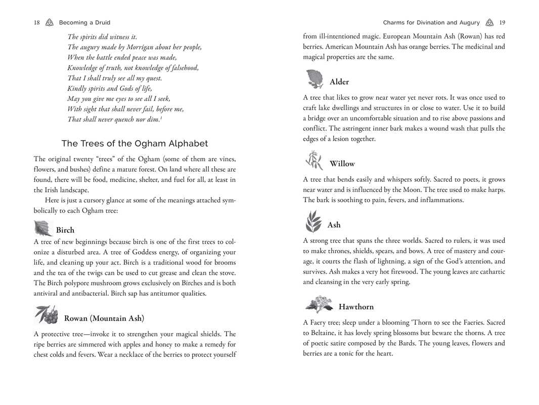 Celtic Druidry by Ellen Evert Hopman