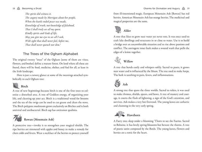 Celtic Druidry by Ellen Evert Hopman