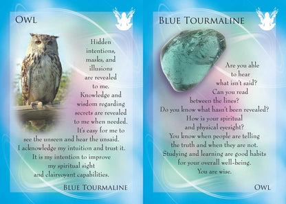 *Animal Allies and Gemstone Guardians Cards by Margaret Ann Lembo