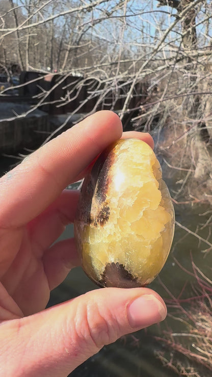 Septarian Palm Stone | Grounding Dragon Stone Crystal for Protection & Confidence