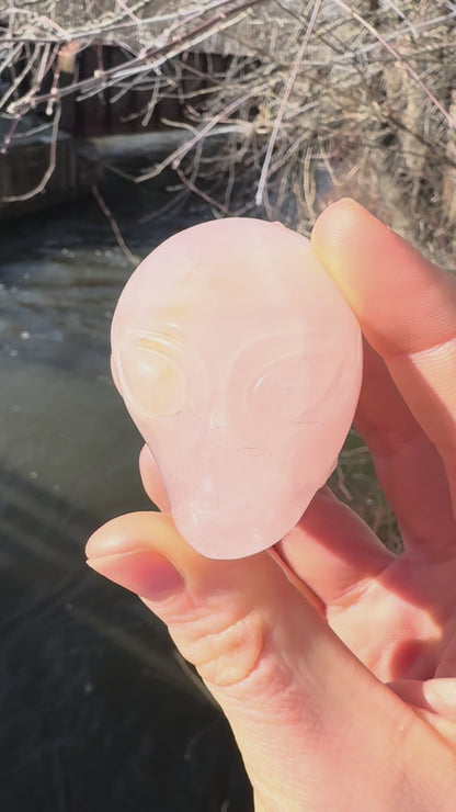 Alien Skull Carving in Rose Quartz