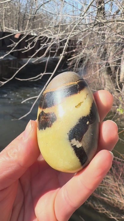 Septarian Palm Stone | Grounding Dragon Stone Crystal for Protection & Confidence