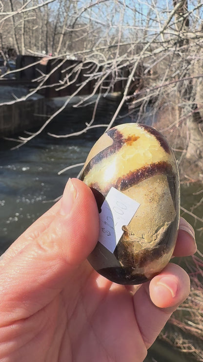 Septarian Palm Stone | Grounding Dragon Stone Crystal for Protection & Confidence
