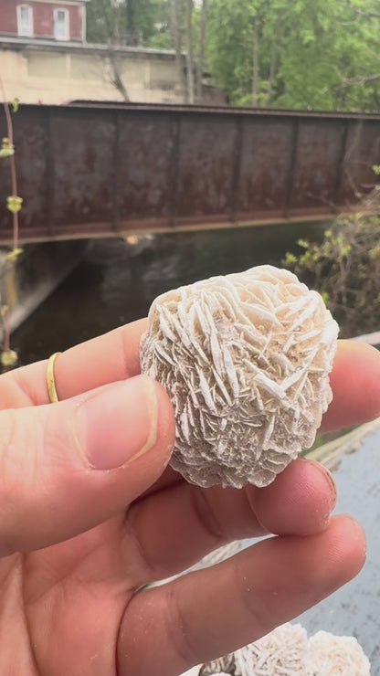 Desert Rose Selenite – Natural Gypsum Crystal Formation for Cleansing & Protection