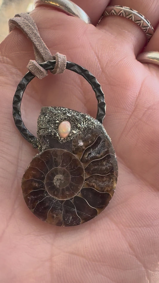 Evolution Amulet