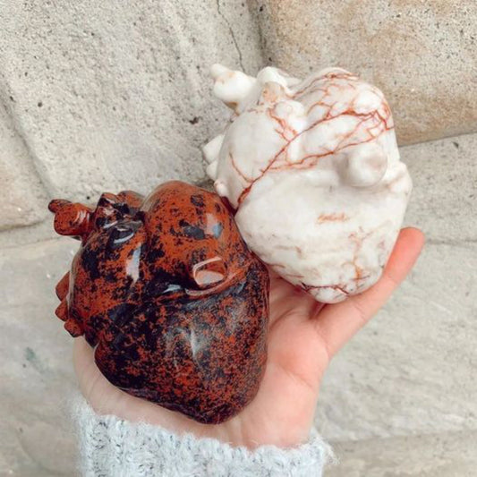 Hand holding two large anatomical heart models, one white with red veins and one black with red speckles
