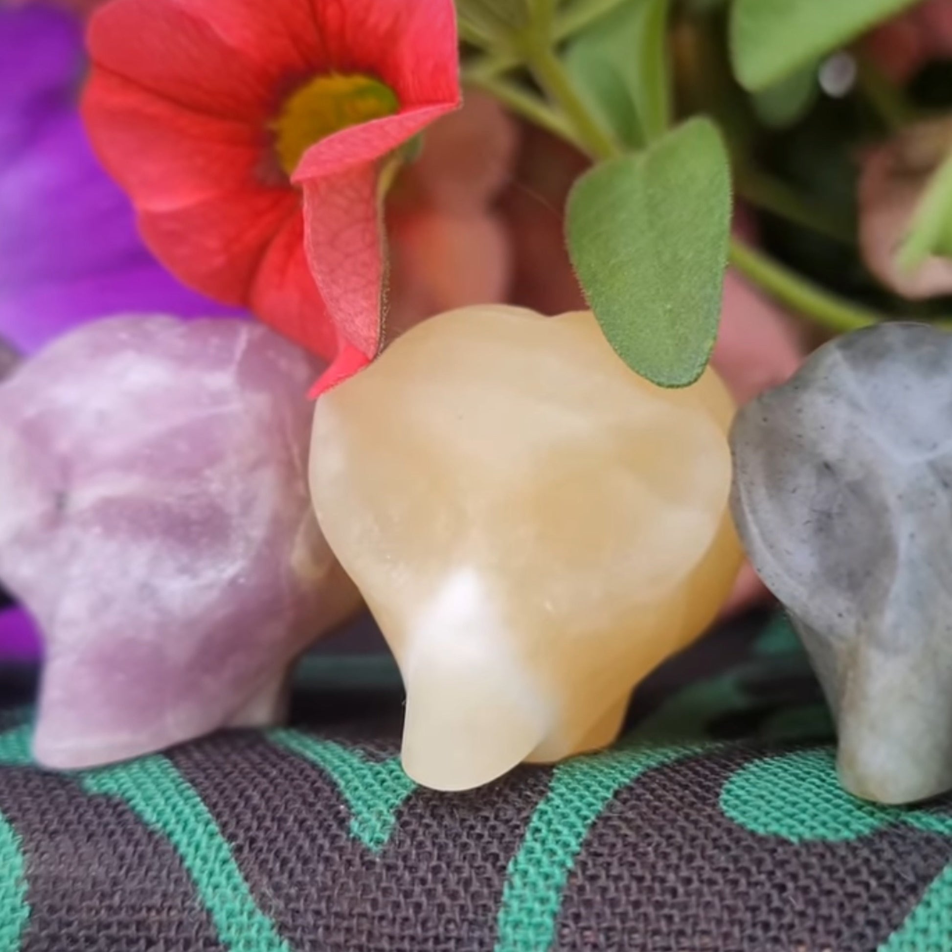Assorted crystal alien heads in purple, yellow, and gray with flower background