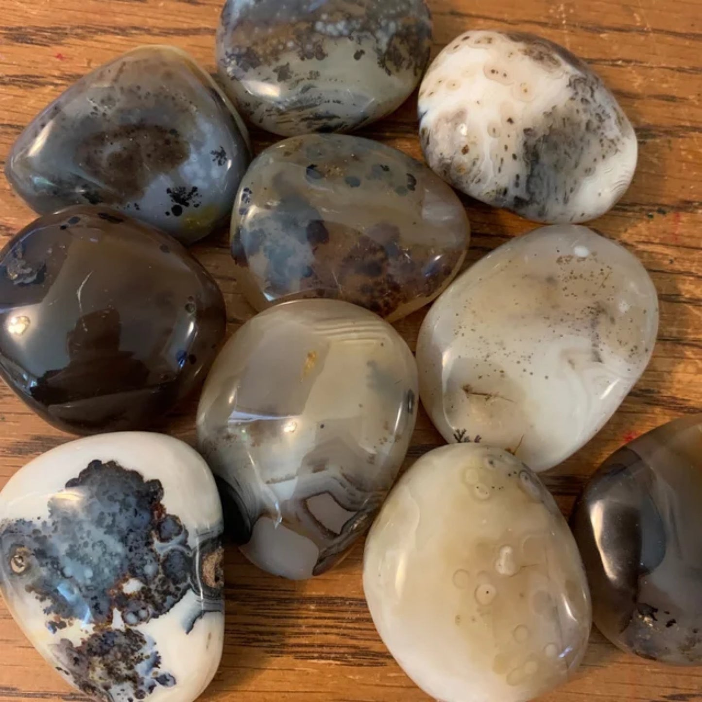 *Dendritic agate pebbles