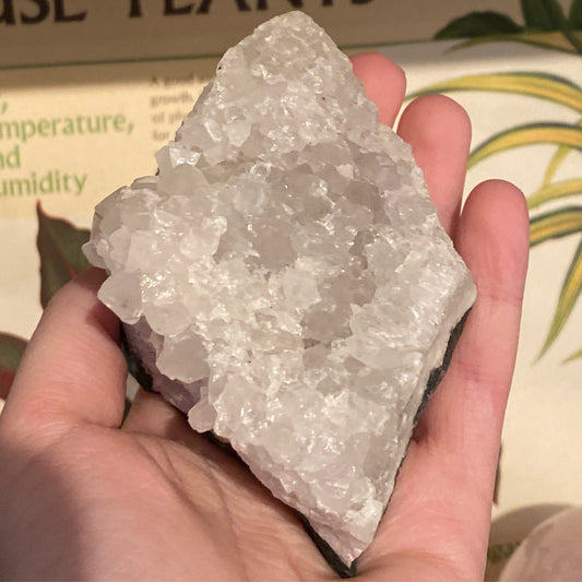 Hand holding white natural zeolite clusters mineral for toxin absorption and air purification