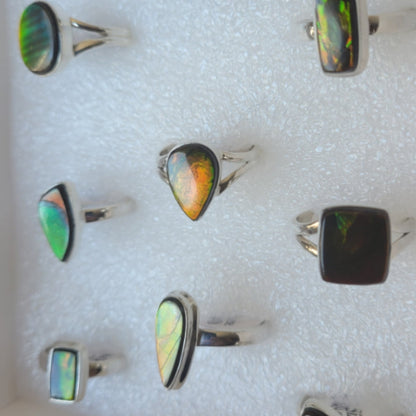 collection of silver rings featuring opalized ammonite stones in various shapes and vibrant colors
