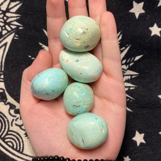Hand holding Peruvian turquoise tumbles on a black and white star-patterned background