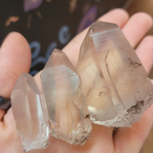 Hand holding three translucent smokey Lemurian quartz points with natural striations and a blurred background