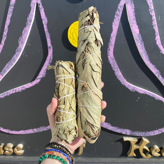 Hand holding two eucalyptus smudge bundles wrapped with white string against a black and purple background