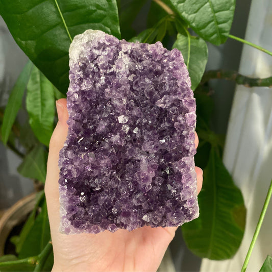 Handheld self-standing Amethyst Geode crystal with purple hues against green foliage background