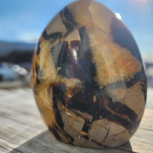 Polished Septarian Freeform crystal with earthy brown and yellow patterns standing 3-5 inches tall on a wooden surface outdoors