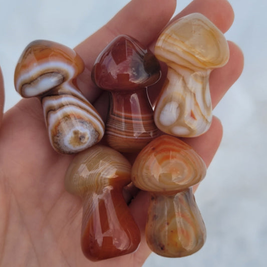 Hand holding six polished carnelian mushroom carvings in various shades of brown, orange, and cream with unique banded patterns