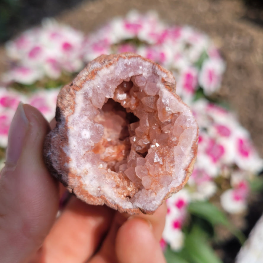 Hand holding a geode pink amethyst crystal with pink and white flowers blurred in the background