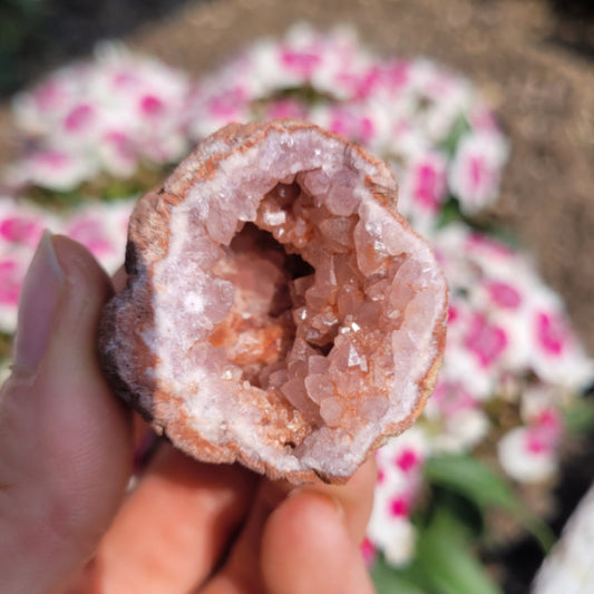Hand holding a geode pink amethyst crystal with pink and white flowers blurred in the background
