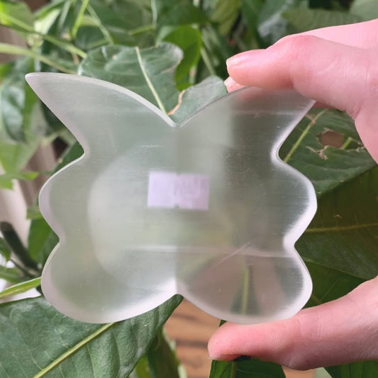 Hand holding translucent selenite butterfly-shaped bowl with green leaves background