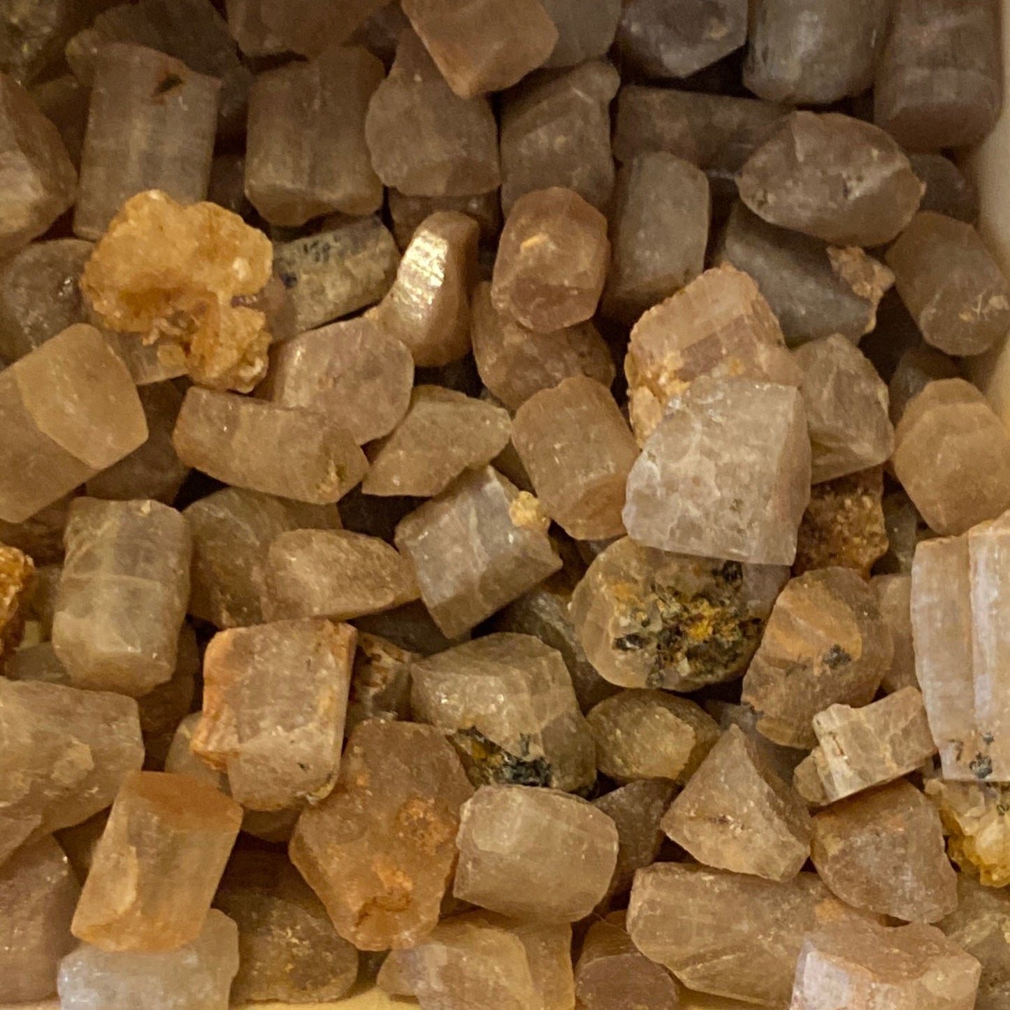 Close-up of raw golden apatite tumbles in natural untreated form