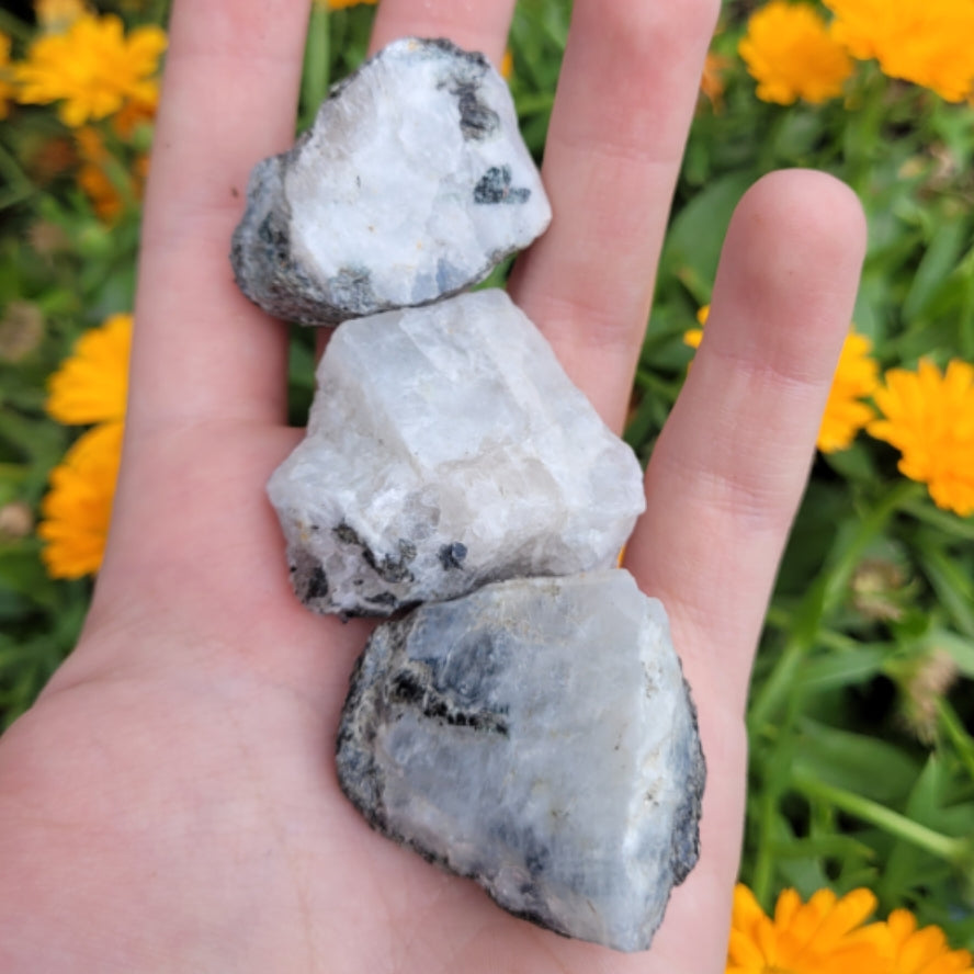 Hand holding three raw moonstone stones with white and gray hues against a background of yellow flowers