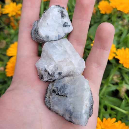 Hand holding three raw moonstone stones with white and gray hues against a background of yellow flowers