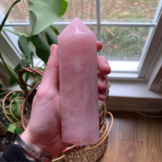 Hand holding a polished pink Rose Quartz Tower crystal with a pointed tip indoors near a window and green plants in the background.