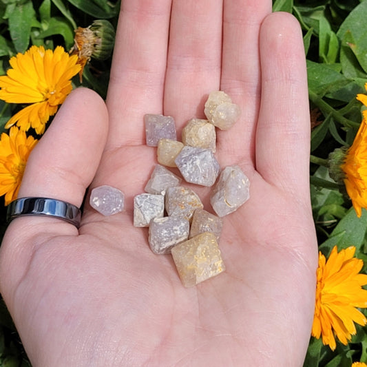 Hand holding raw octagonal beta quartz stones with yellow flowers in the background