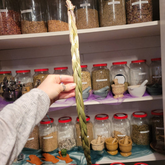 Hand holding a long sweetgrass braid in front of shelves filled with jars of herbs and spices