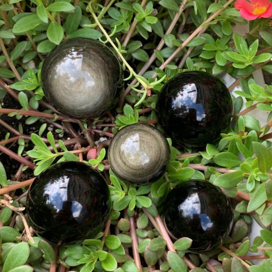 Goldsheen Obsidian spheres on green foliage background