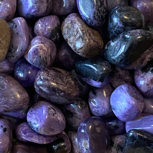 Charoite tumbles in varying shades of purple and blue polished stones for healing and jewelry designs