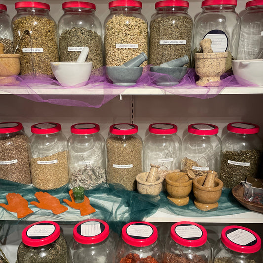 Apothecary Herb individual jars with red lids containing various dried herbs on shelves