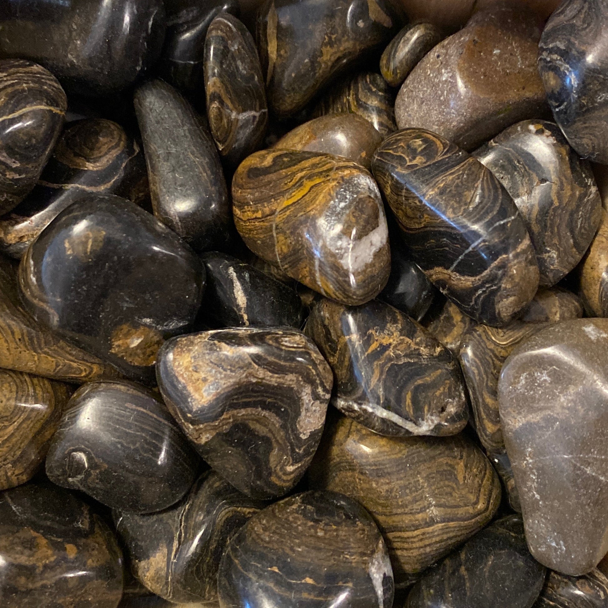 Smooth polished stromatolite tumbles with layered brown and black patterns, showcasing ancient microbial textures