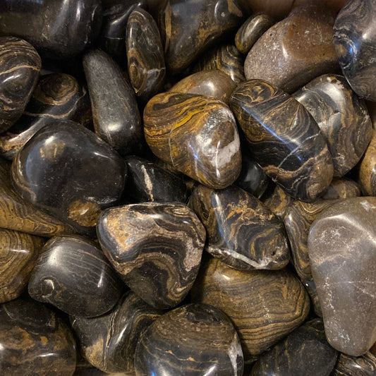 Smooth polished stromatolite tumbles with layered brown and black patterns, showcasing ancient microbial textures